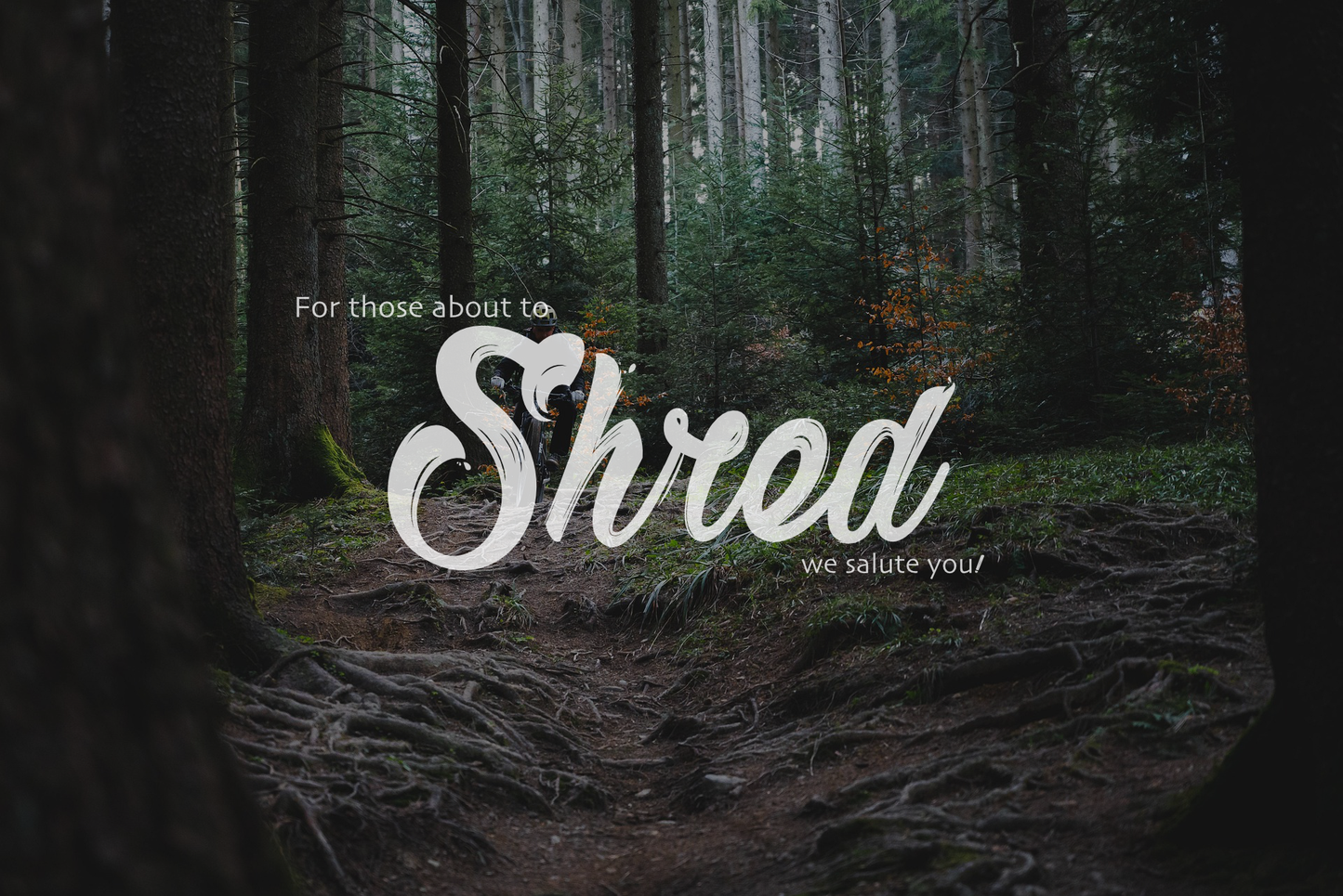 Shred & Co. Gift Card